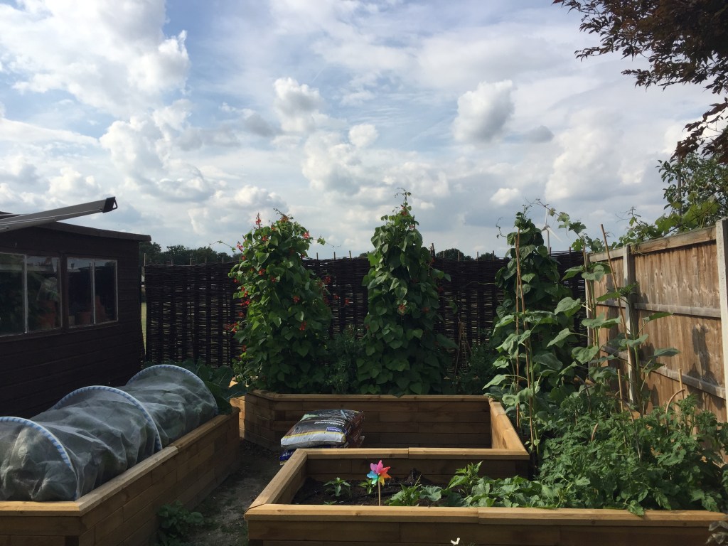 Welcome to Sow, Grow,&nbsp;Harvest