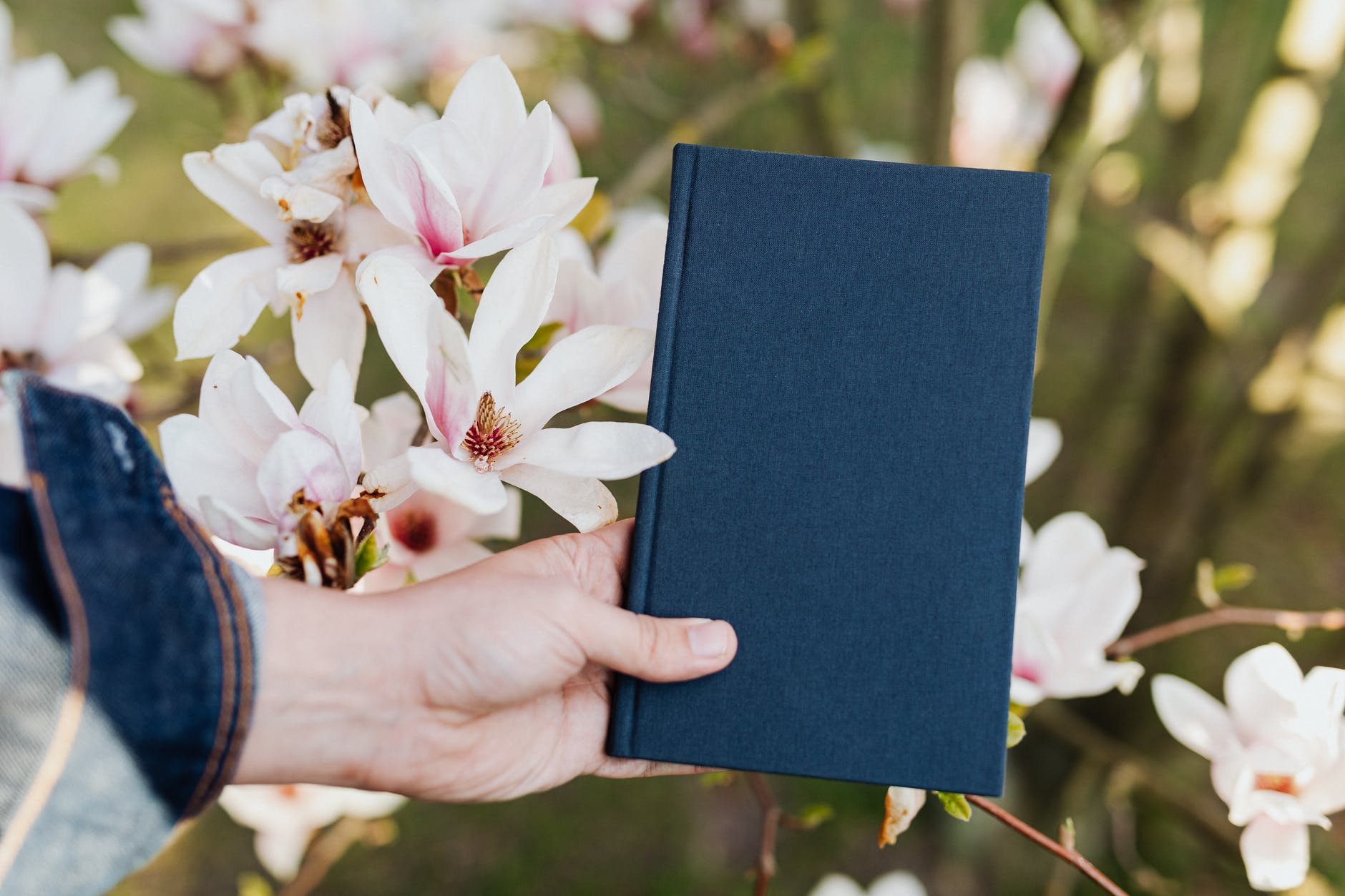 Closed book in hand of person