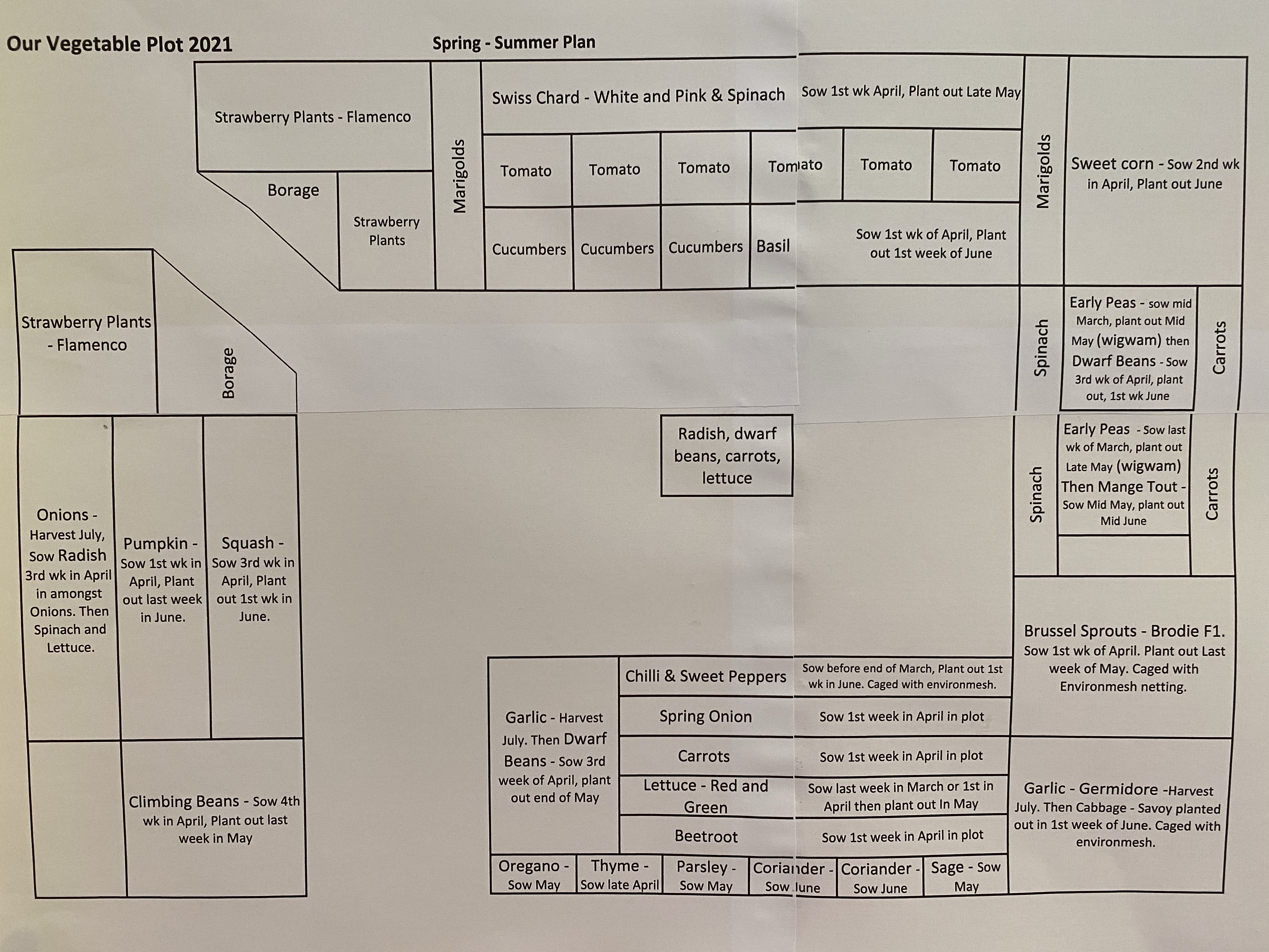 Vegetable Garden Plan 2021