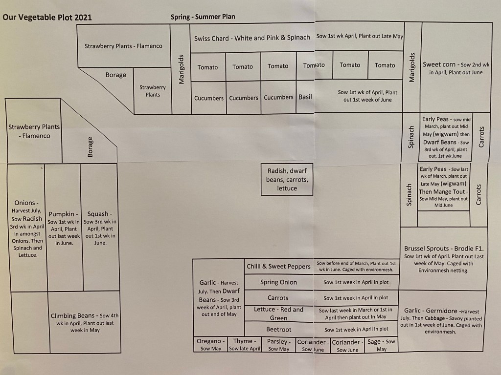 Our Vegetable Plot Plan&nbsp;2021