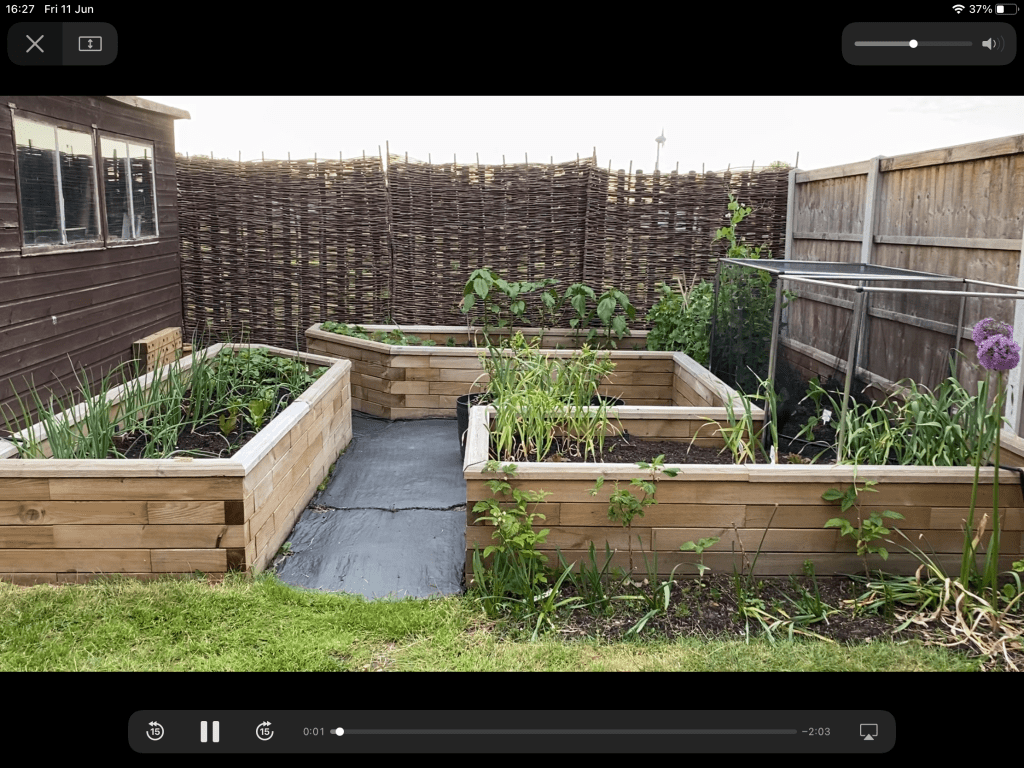 All About Our Vegetable Garden