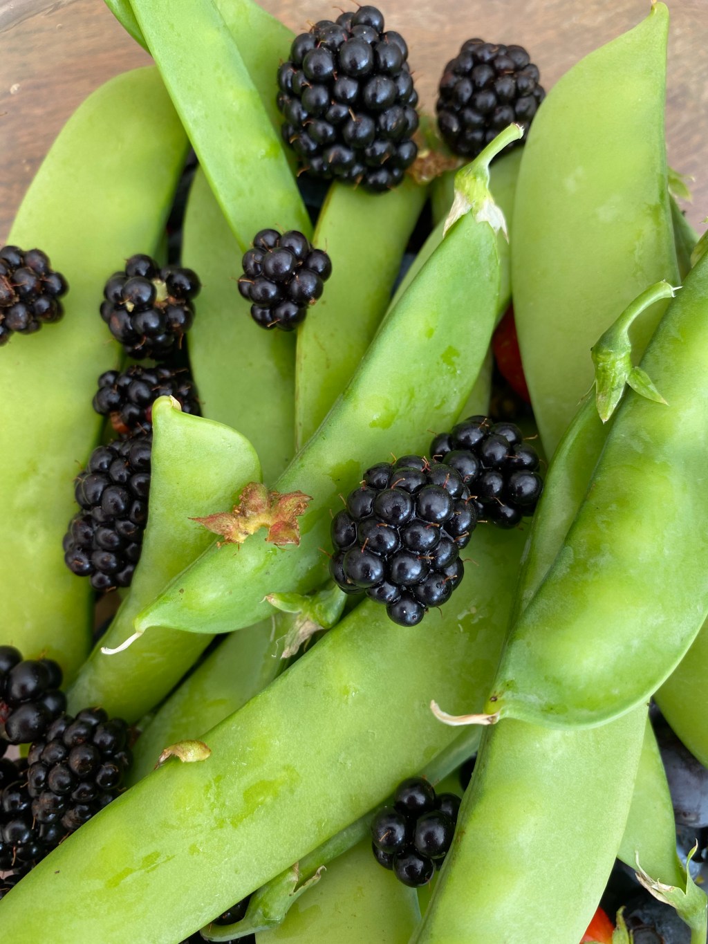 Mange tout, french beans, lettuce & blackberry harvest
