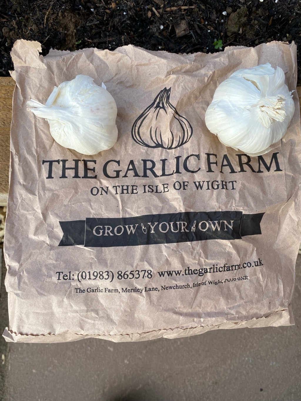 Growing Garlic with Onions and&nbsp;Leeks