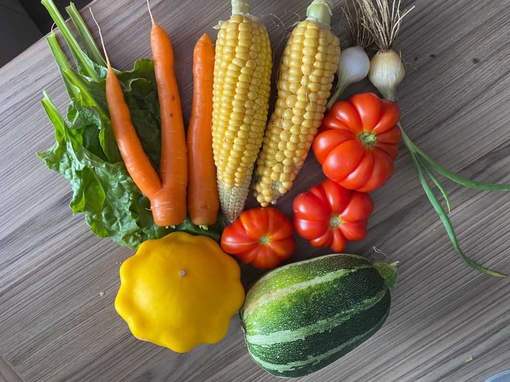 August is definitely the month for Harvests – Blackberries, strawberries, Baby squash, ball courgettes, Carrots, French beans, spinach, tomatoes.