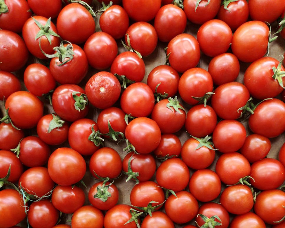 Pick of the Veg Crops – Tomatoes – Part 1 – Origins,  Nutrition & Reasons to&nbsp;Grow