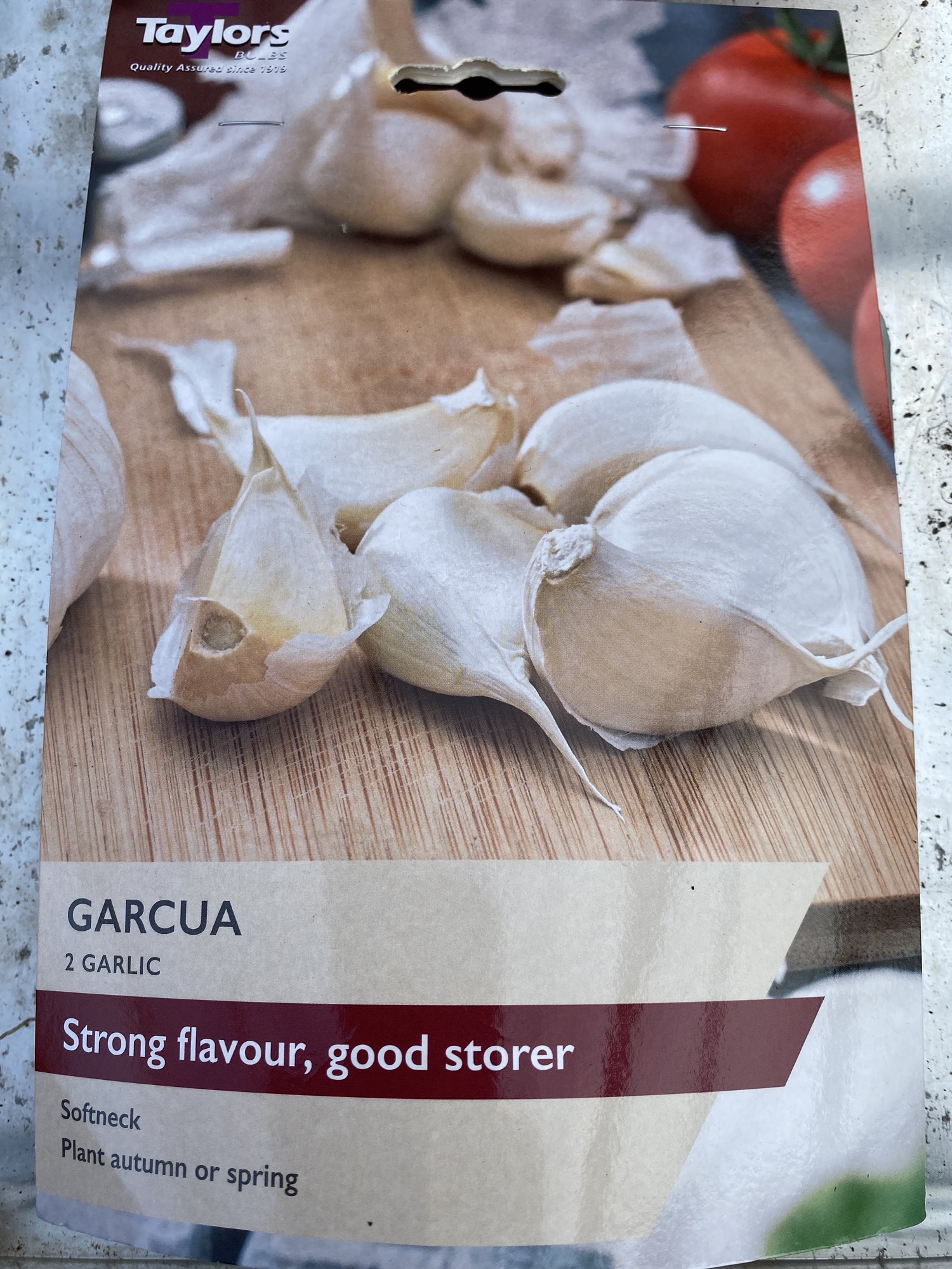 Growing Spring Planting Garlic in Mid March - Is it too late to grow?