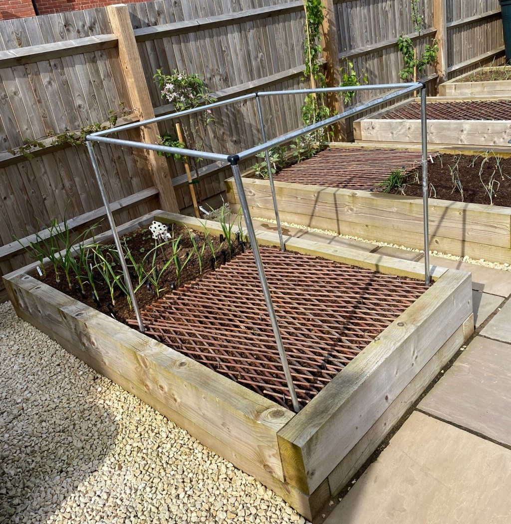 Early May 2024 – Vegetable Garden Update – Garlic, Onions, Leek, Broad Beans & Radish