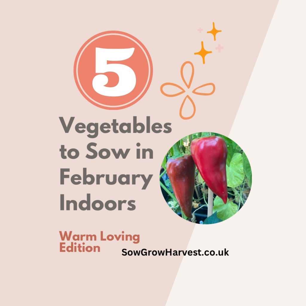 Vegetable Seeds To Sow in&nbsp;February