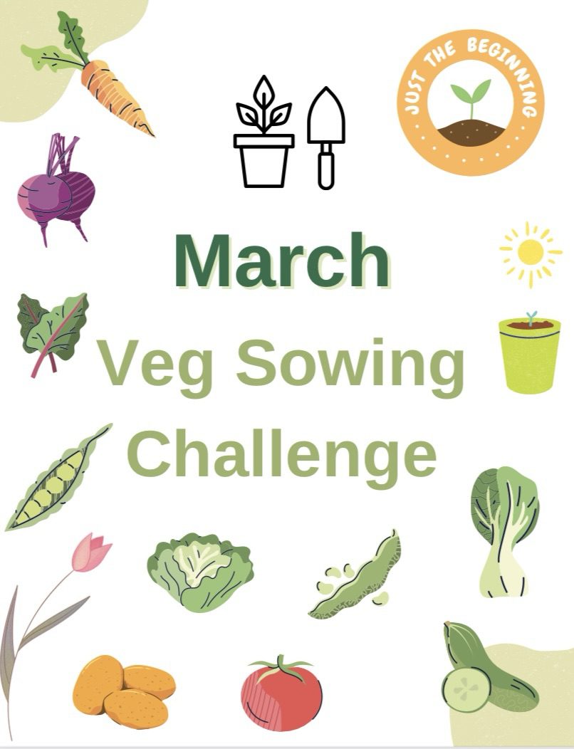 Your Vegetable Sowing Schedule for&nbsp;March