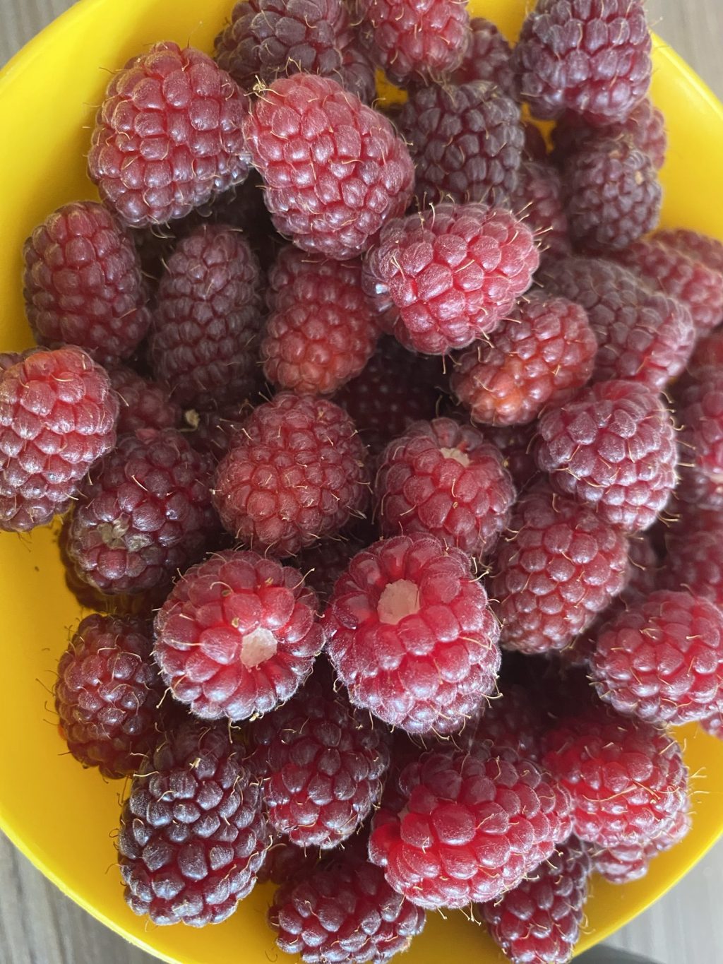 The Best Berry for Big Harvests