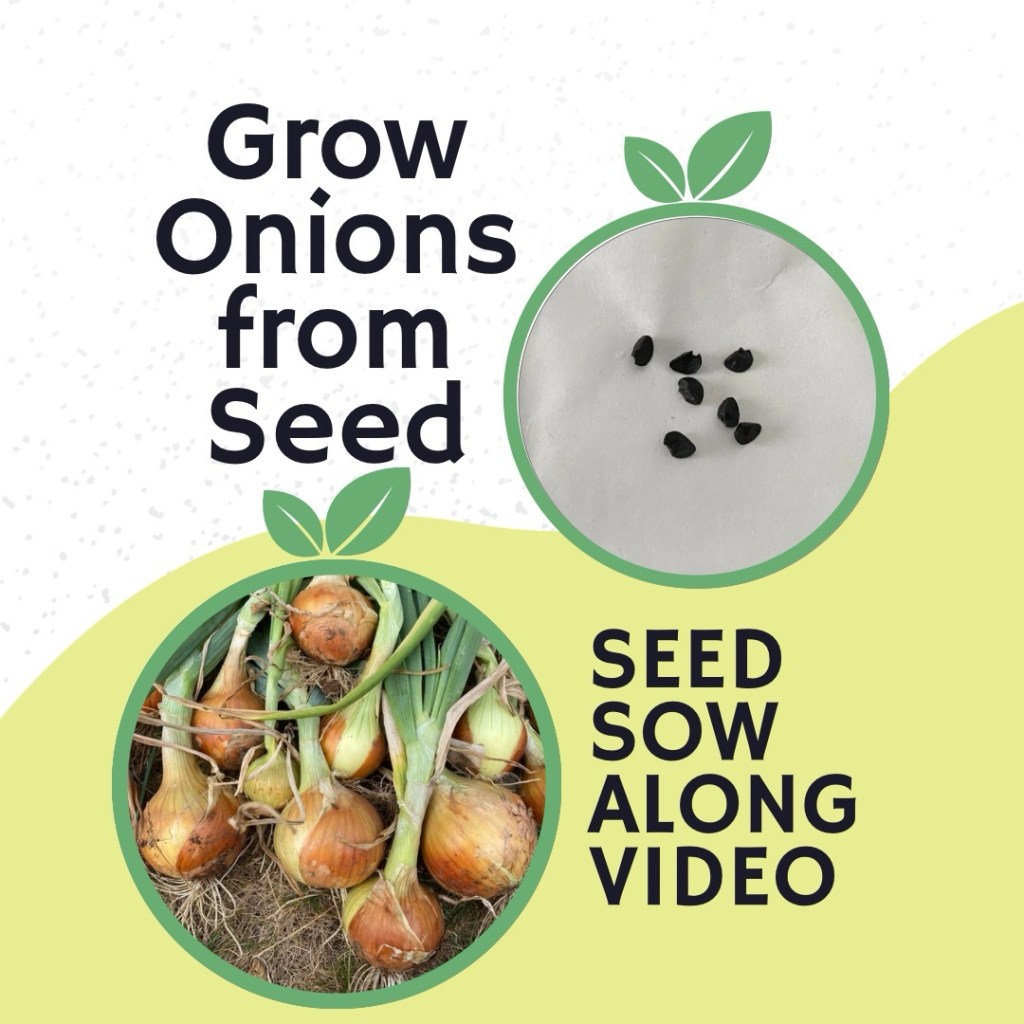Sow Onion Seeds with Me – Video Release