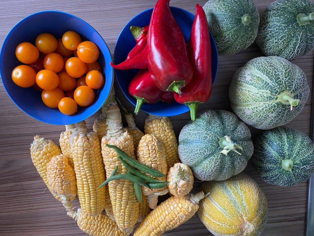 Sow, Grow & Harvest in September 2024 –&nbsp;Timeline
