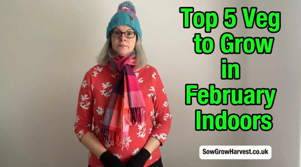 Top 5 Veg to Grow in Feb Video Thumbnail