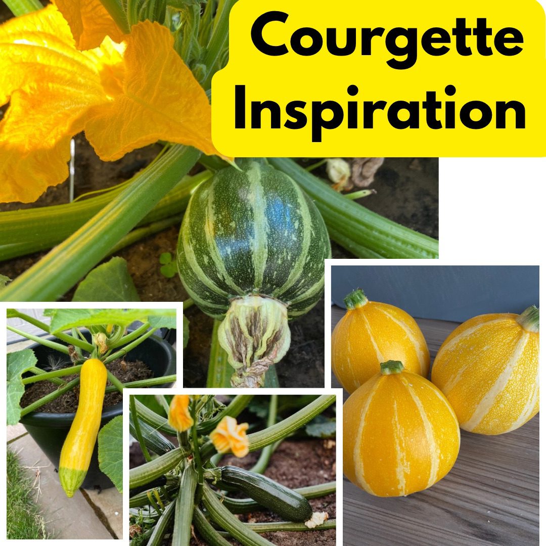 Courgettes