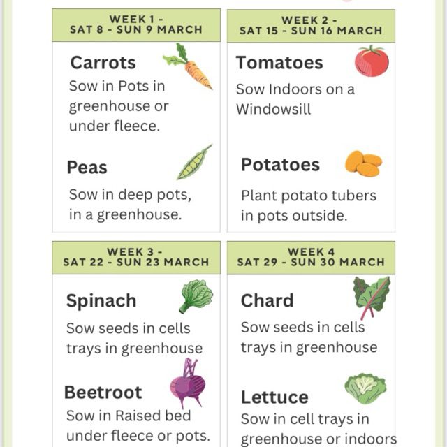 March Veg Sowing Schedule