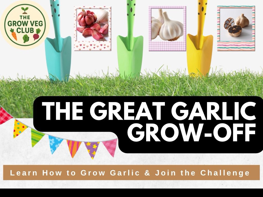 The Great Garlic Grow Off