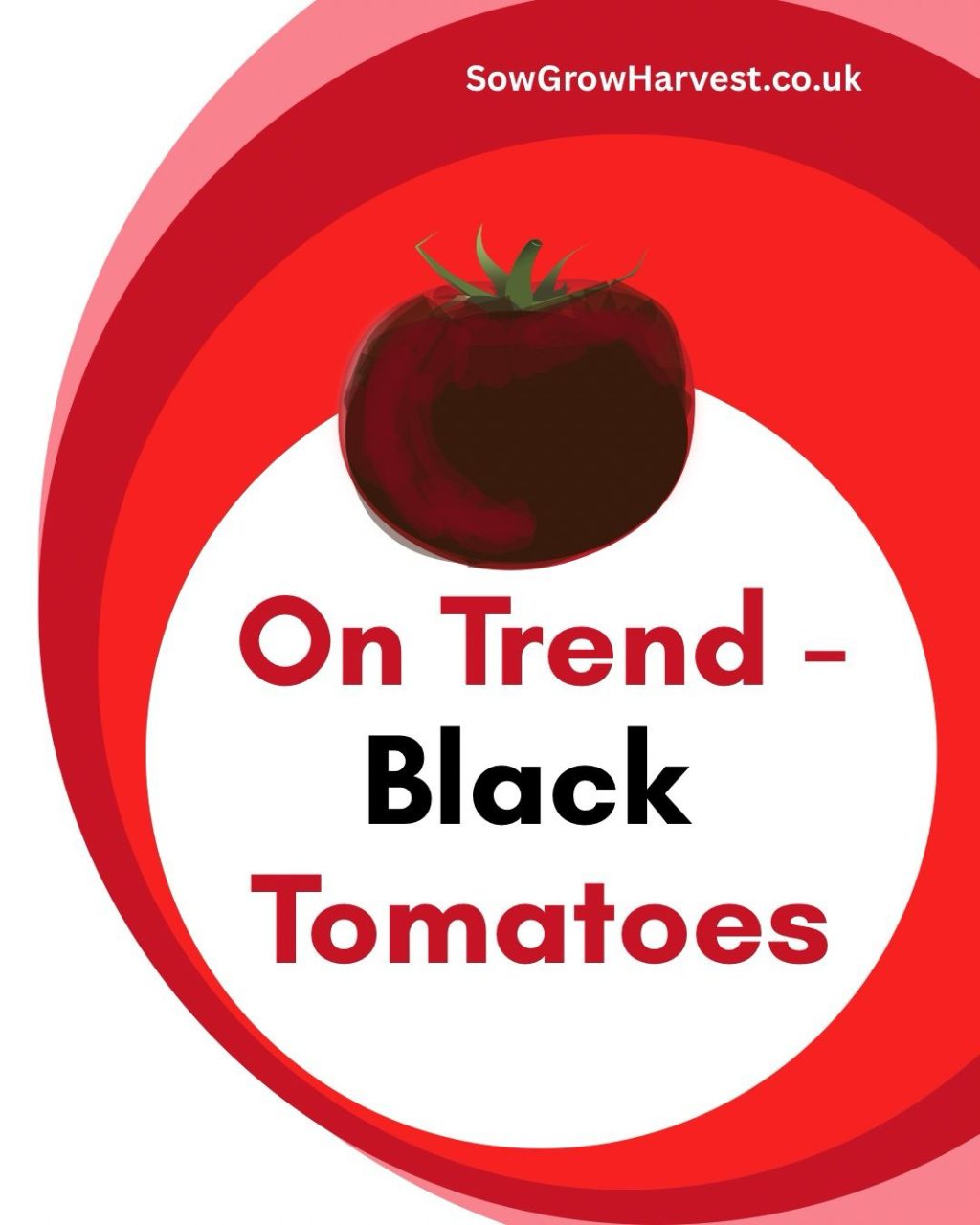 Black Tomatoes at the Whistle Stop Cafe
