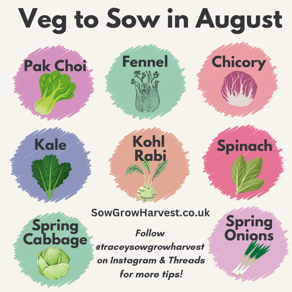 Vegetables to Sow in August & Bulbs to&nbsp;Pre-Order