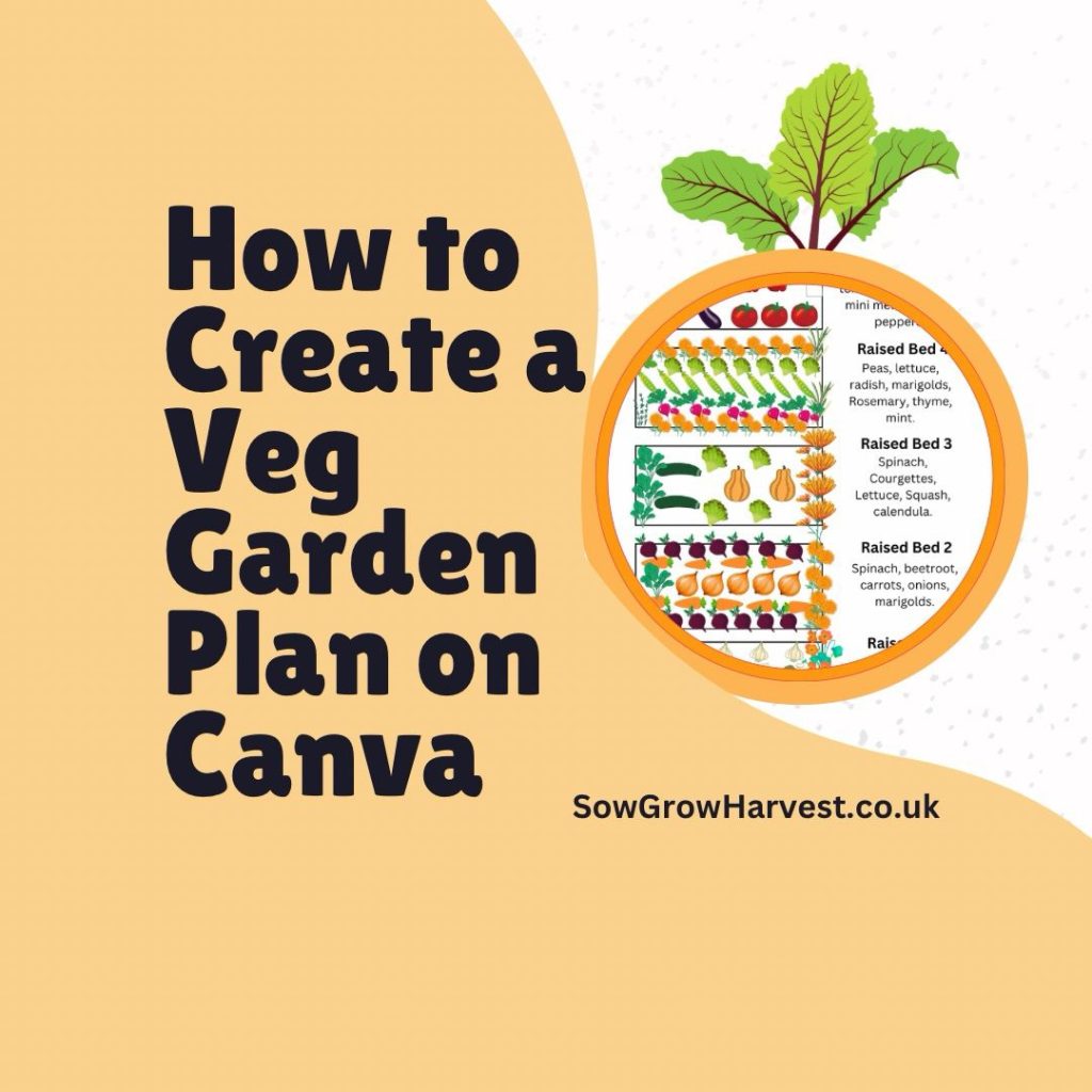 Create a Vegetable Garden Plan on Canva (Free&nbsp;Version)