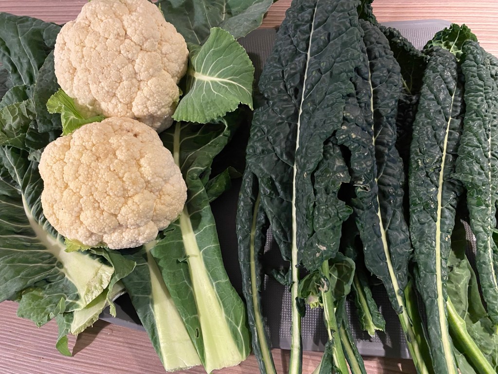 Cauliflower and Kale Veg Harvest