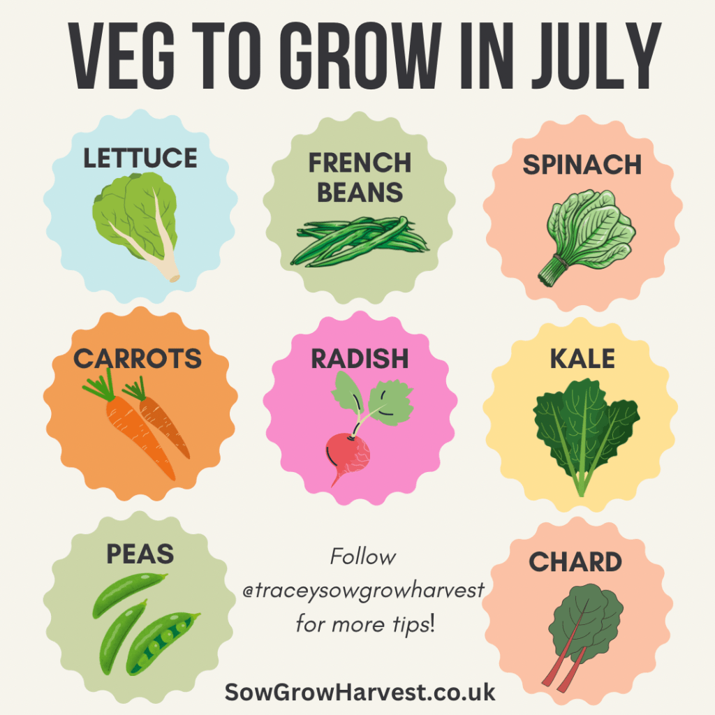 Vegetable Seeds to Sow in July