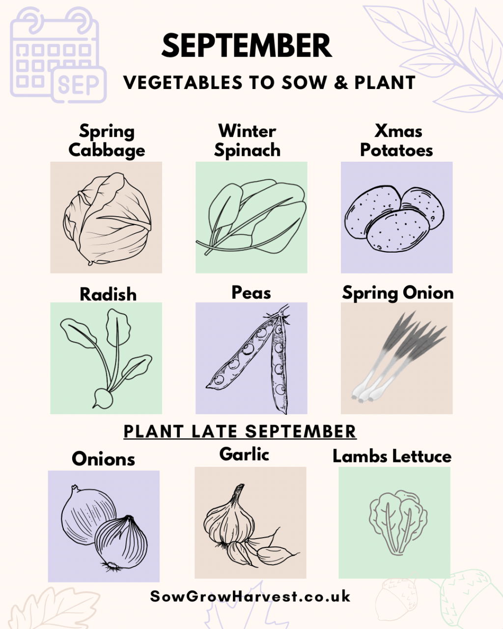 Vegetables To Sow & Plant in&nbsp;September