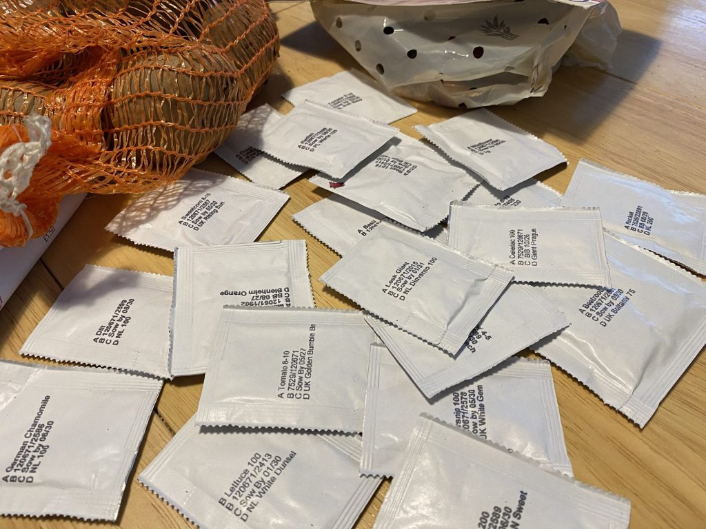 Grow Vegetables on a Budget: Cheap Seeds That Actually Work