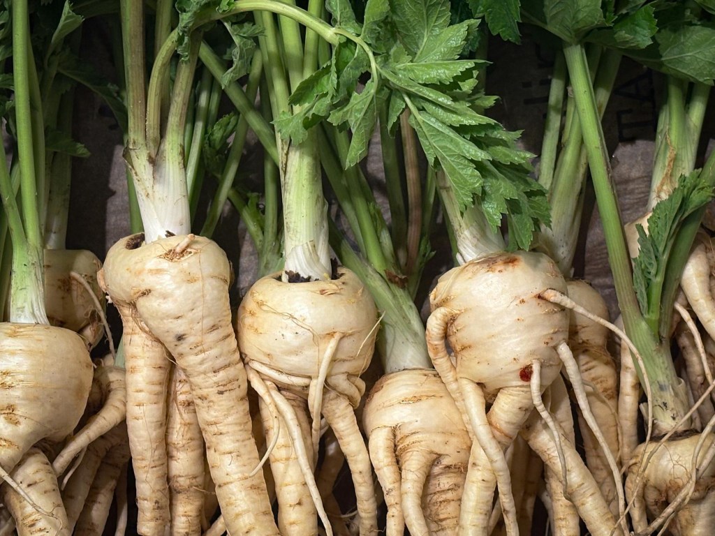 Parsnips – Sow, Grow, Harvest, Store & Cook