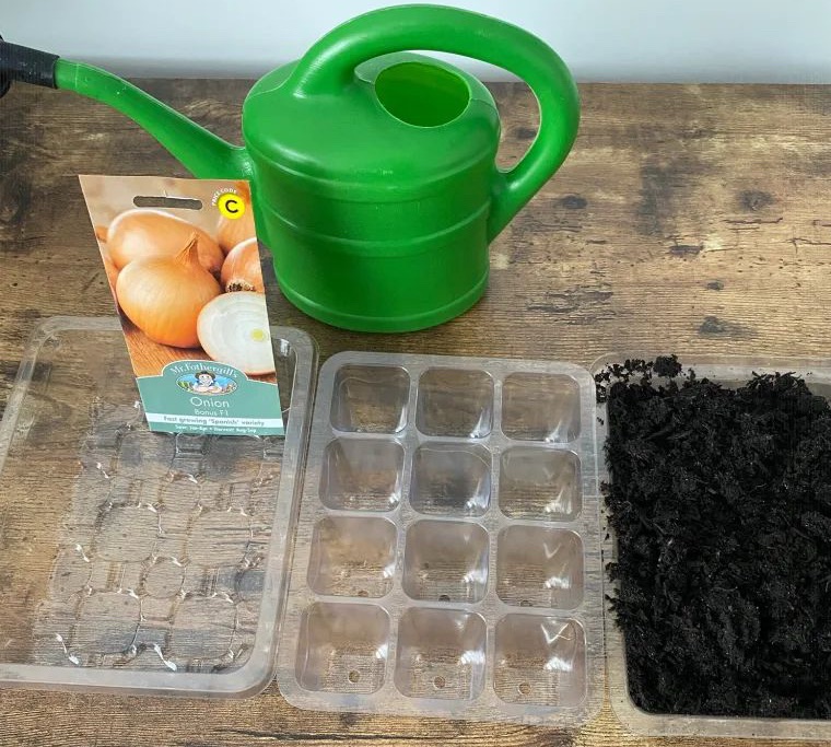 Sow Seeds in January – Onion Seeds