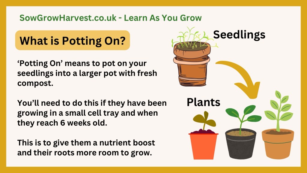 potting on definition