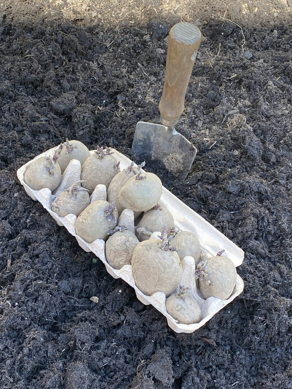 I Want to Grow Jacket Potatoes