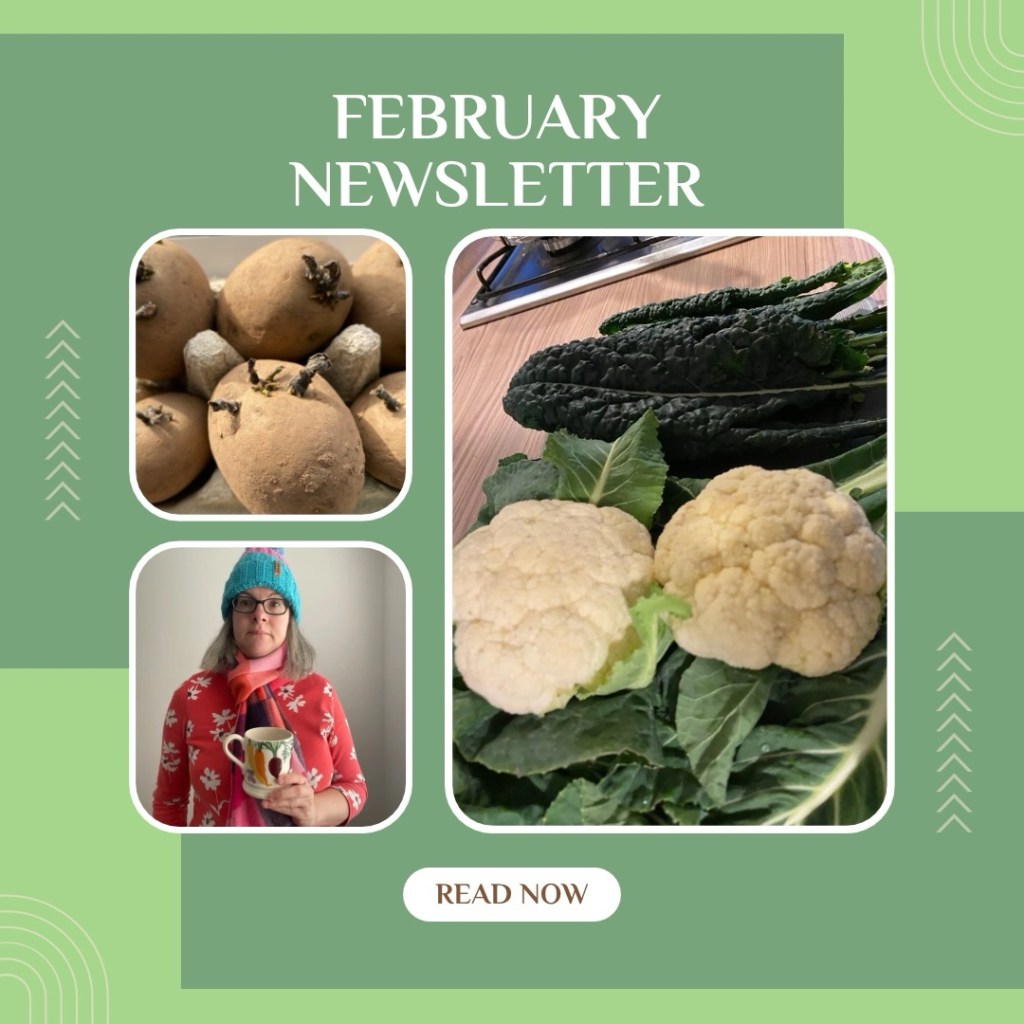 Newsletter – The World beneath our Feet –&nbsp;Soil