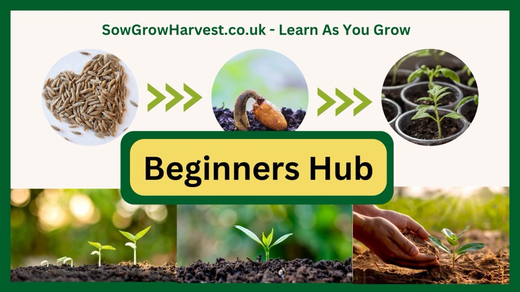 Beginners Hub