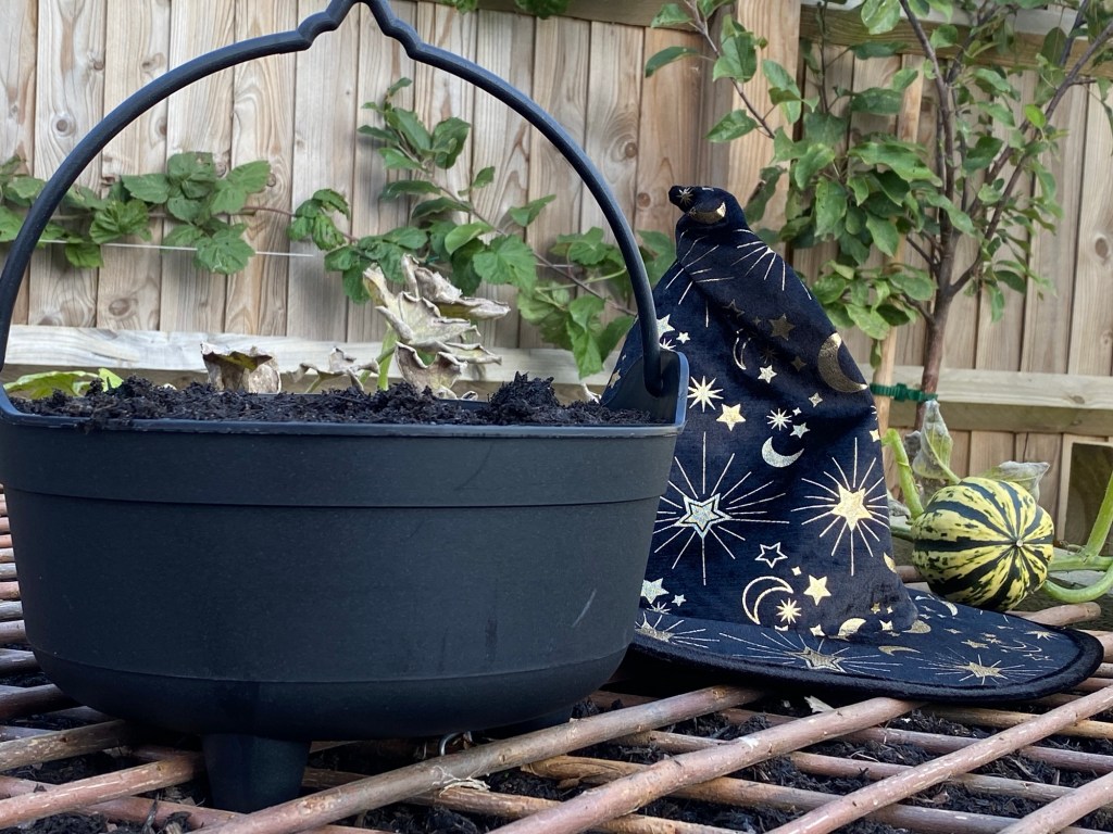 Sow Your Own – Halloween Speedy Salad Leaf&nbsp;Cauldron