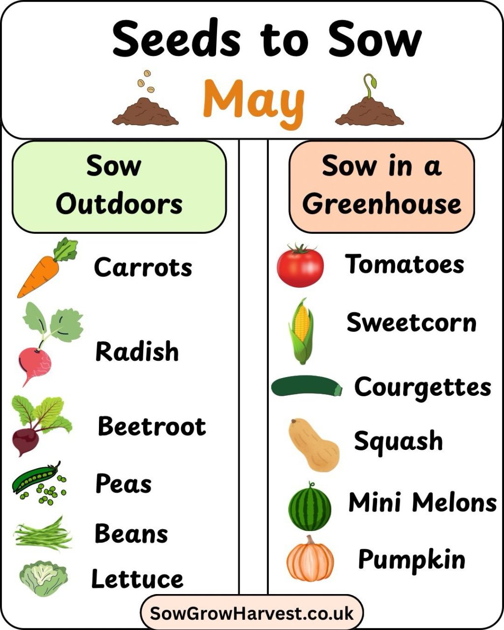 It’s May – What vegetables can I sow &&nbsp;plant?
