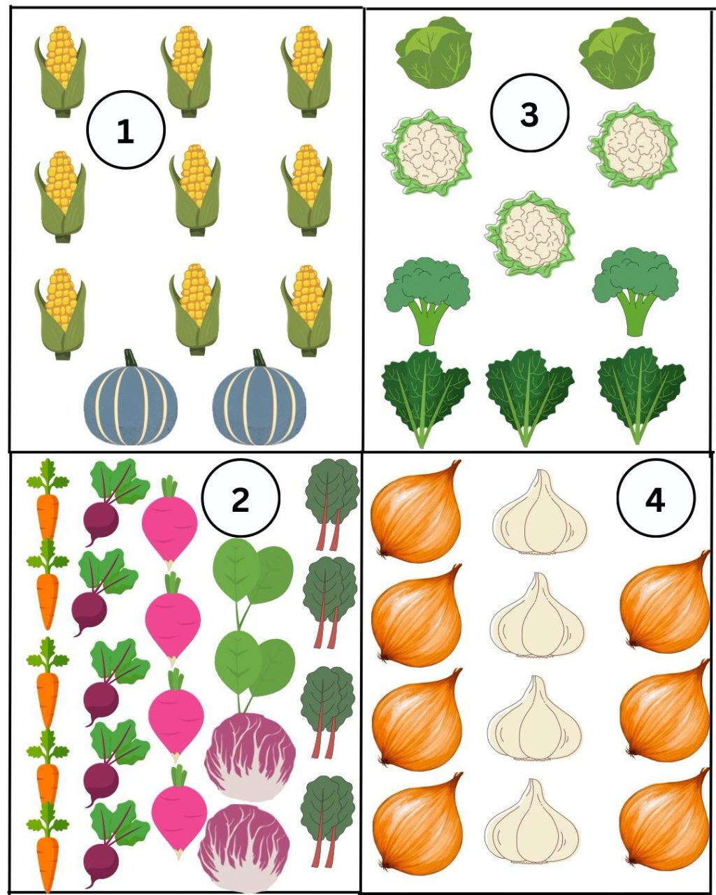 What shall I Sow or Plant next in Raised Beds at End June to&nbsp;July?